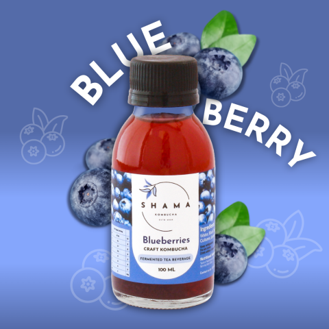 Blueberry Kombucha 100ml