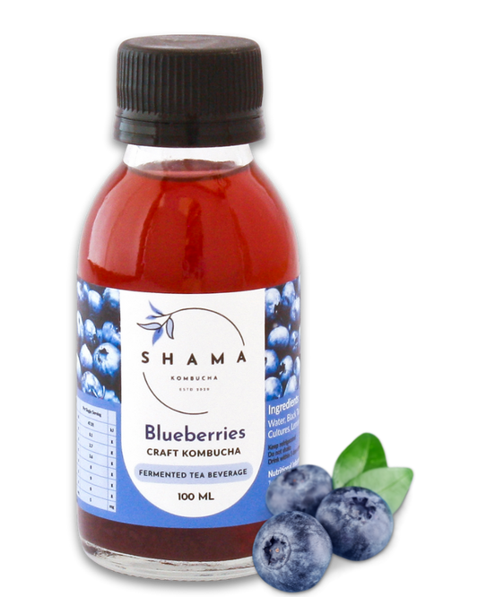 Blueberry Kombucha 100ml