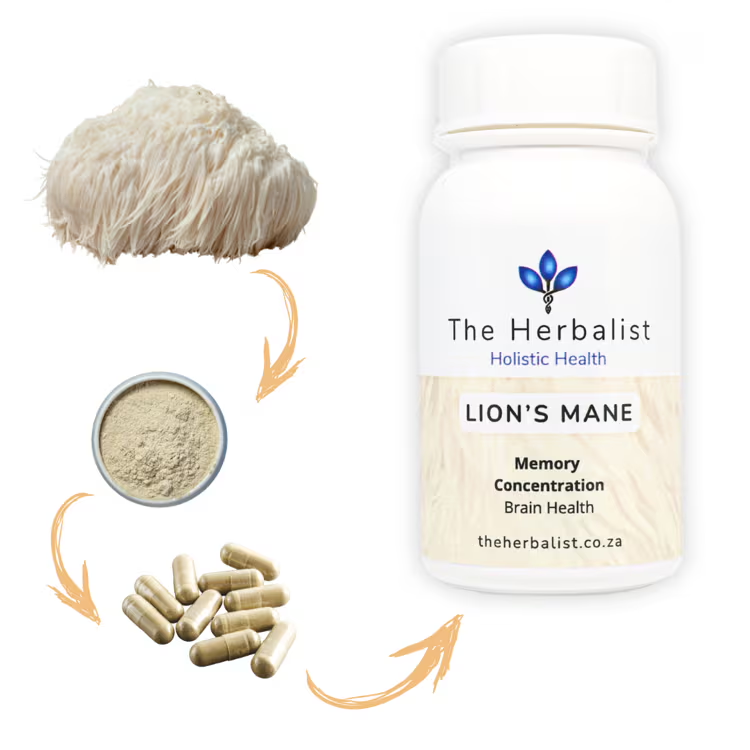 Lion's Mane is known to improve brain function such as thinking, learning and memory.