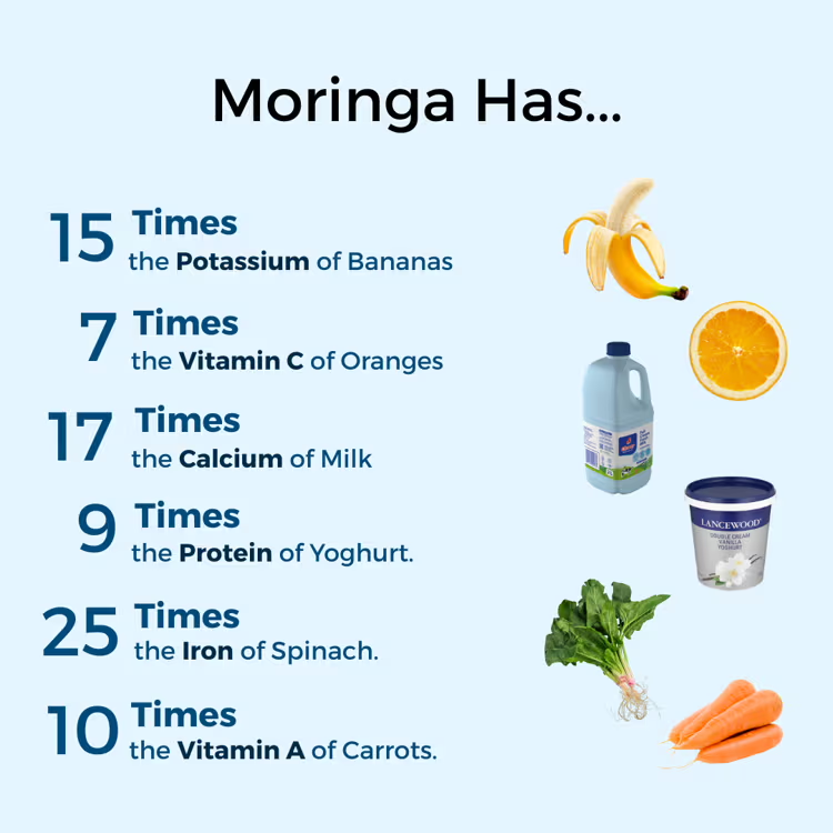 Moringa is an incredible immune-booster and gives your body the nutrients it needs to perform optimally.  It is like a 
multivitamin straight from nature.