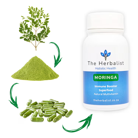 Moringa is an incredible immune-booster and gives your body the nutrients it needs to perform optimally.  It is like a 
multivitamin straight from nature.