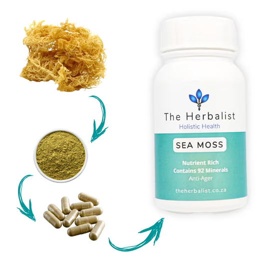 Sea Moss is a sea vegetable that is rich in vitamins, minerals, and antioxidants. It has potential health benefits for skin health, thyroid health, energy levels and immune function.